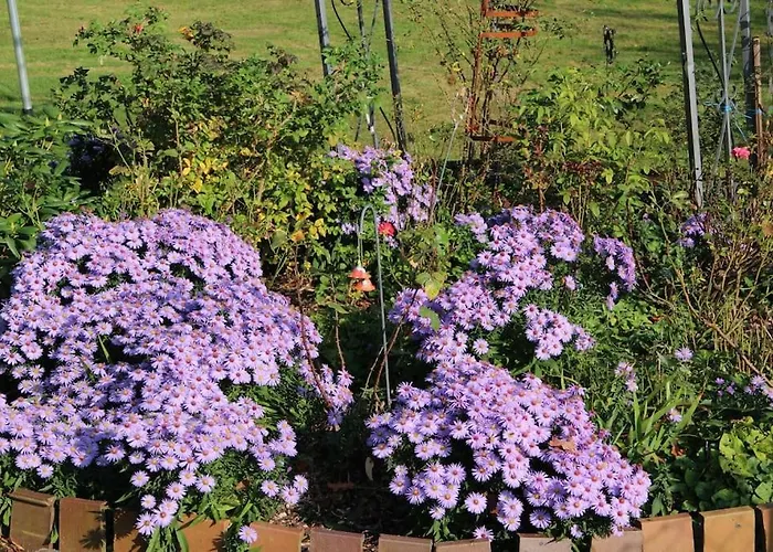 Auf Dem Pferdehof Apartment Sumte